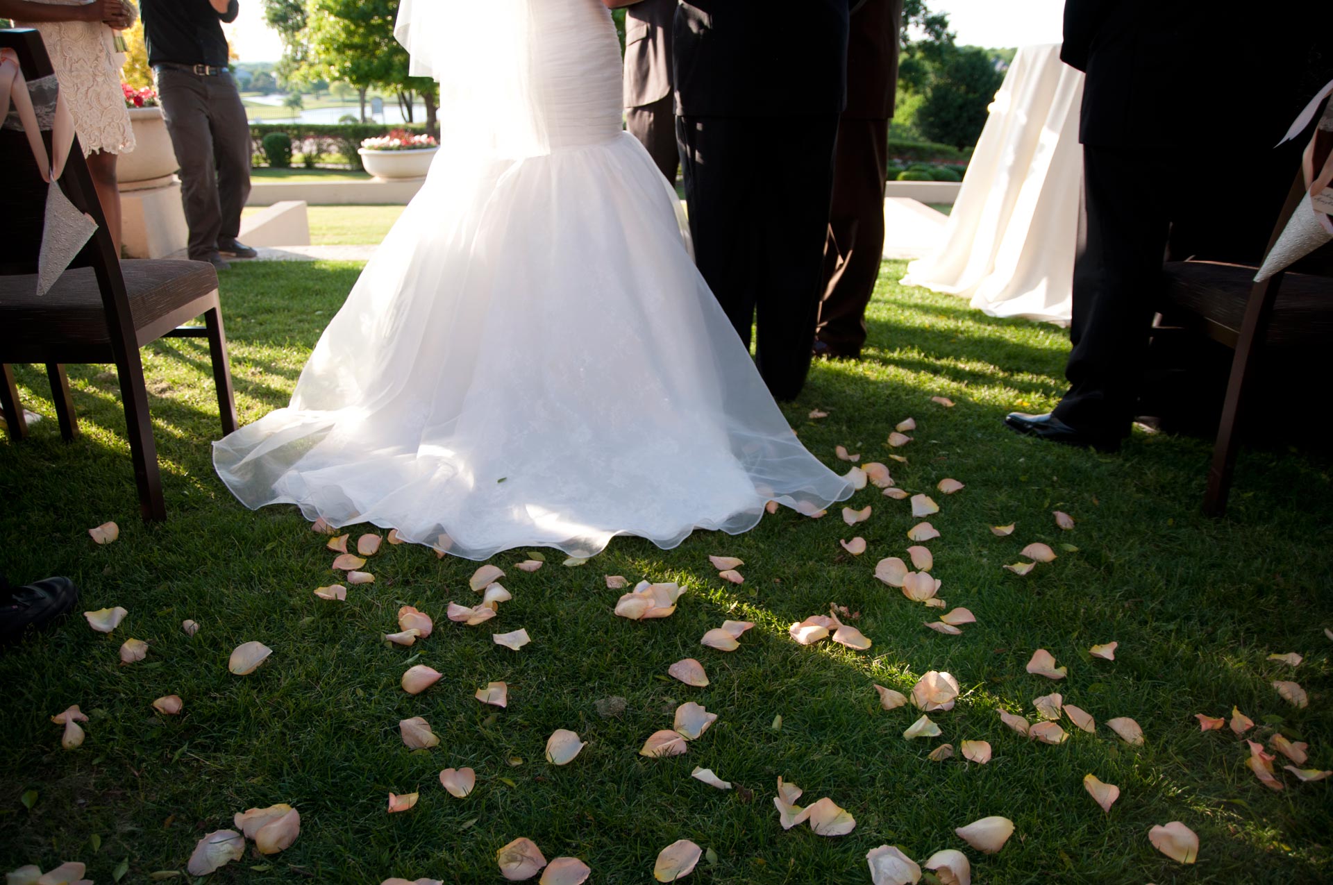 Brook's dress with rose petals on the ground behind her