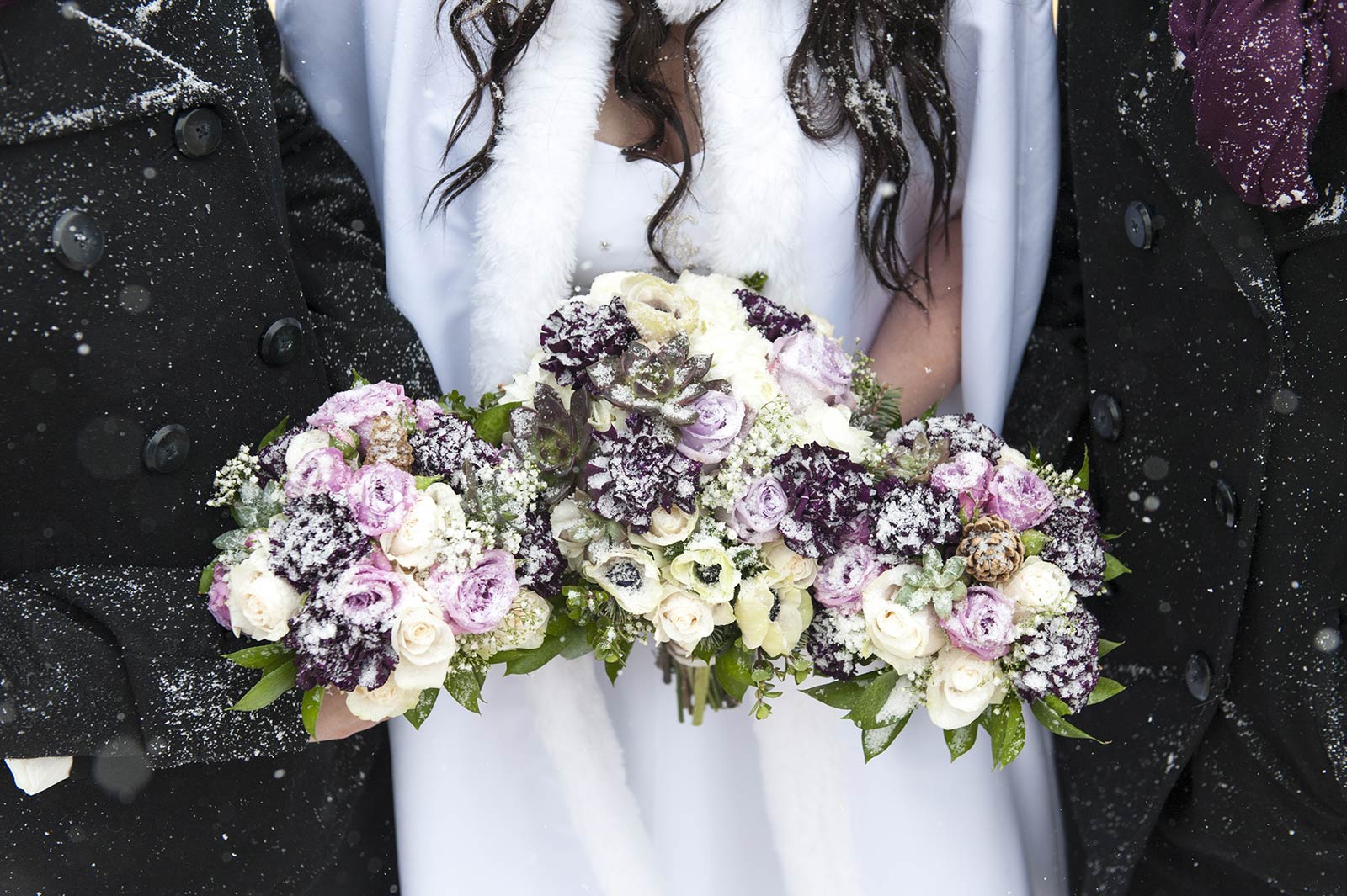 Snow-covered flowers